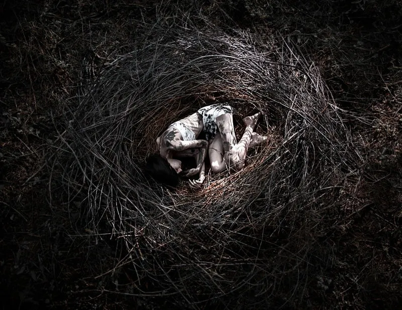 Loneliness in the nest
