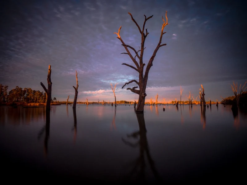 Dawn of Yarrawonga