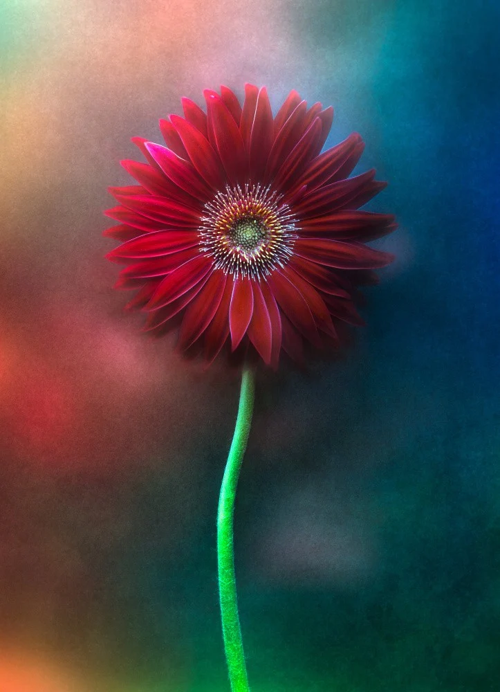Color Theory