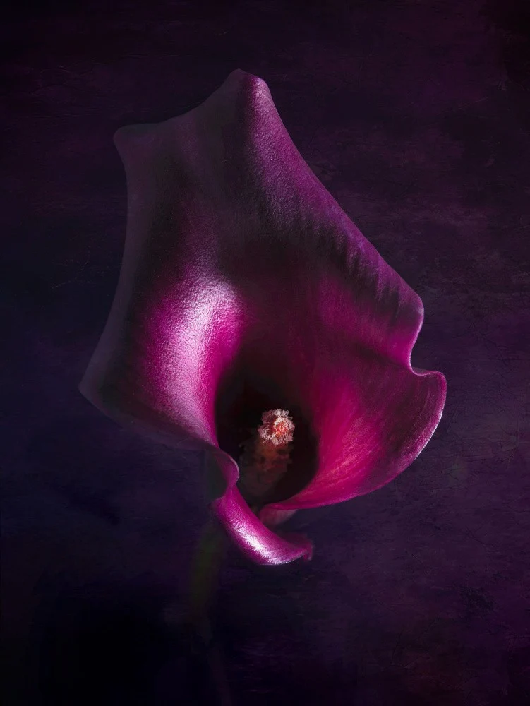 Deep Beauty