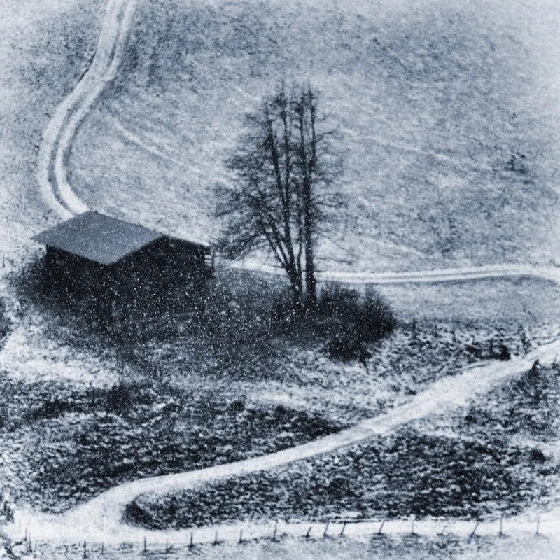winter days