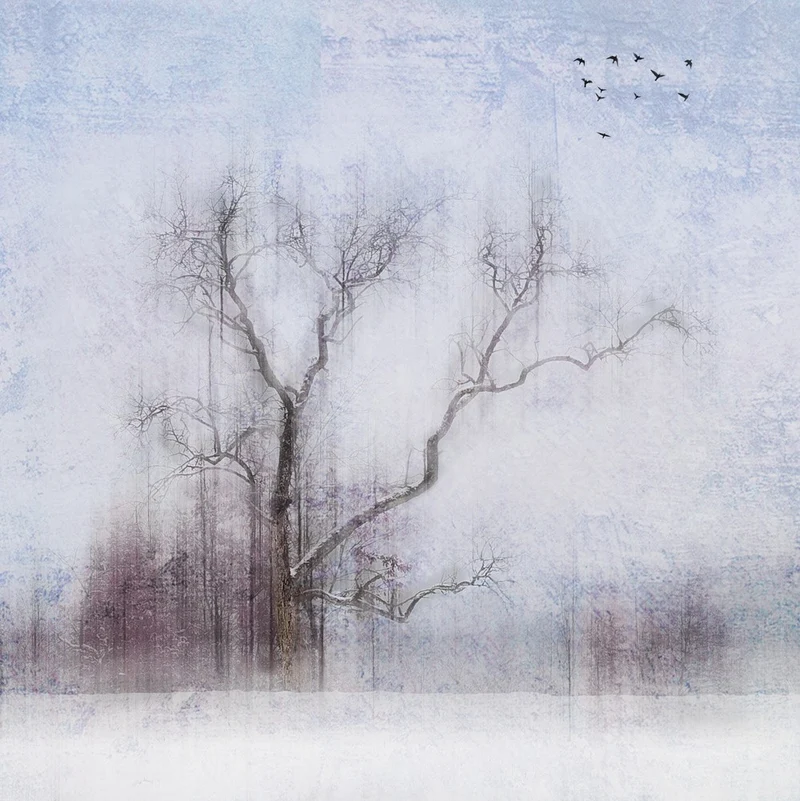 Winter Memories #1