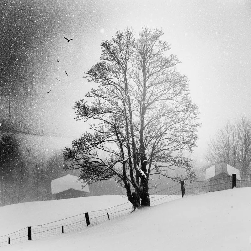 soft Winter