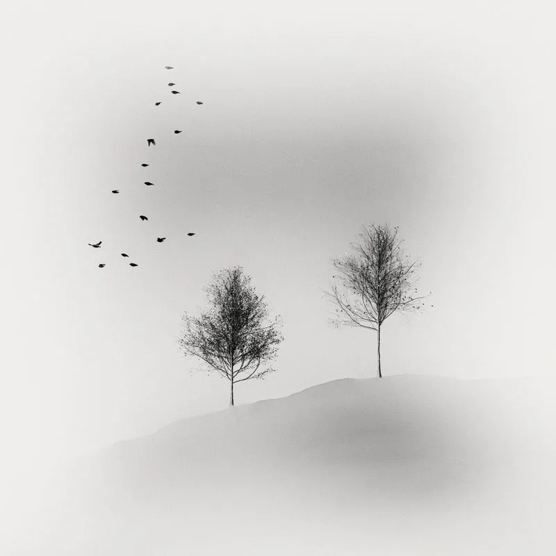Simplicity
