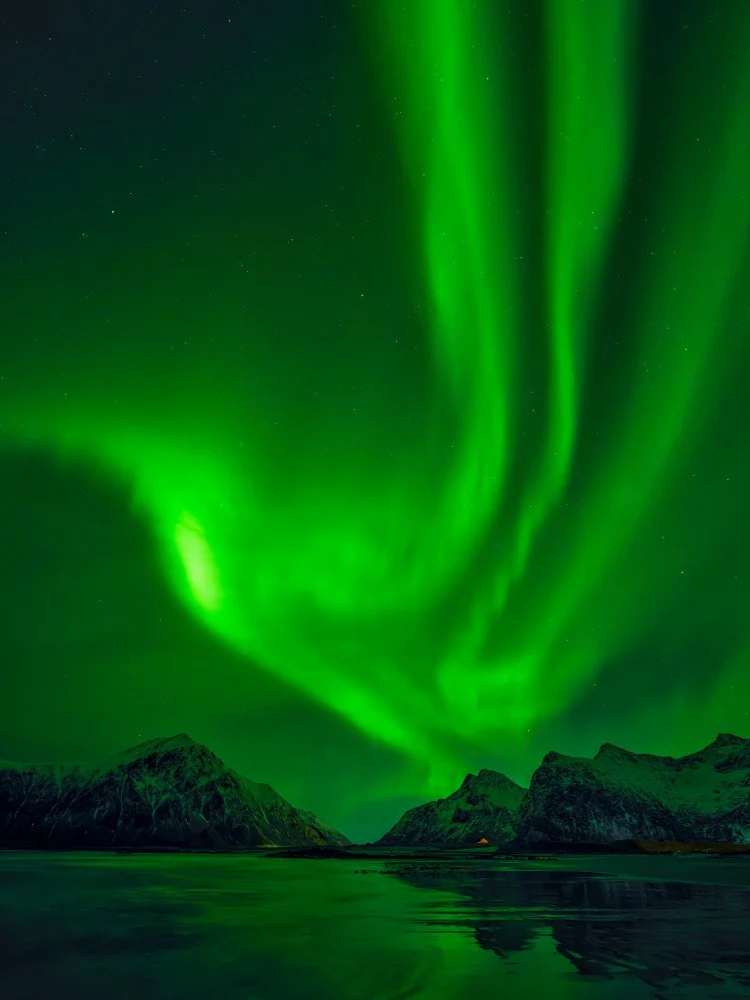 beauty in lofoten