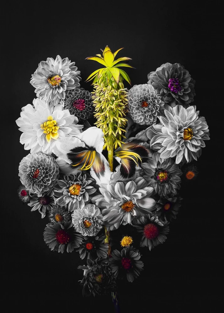 Floral Duality