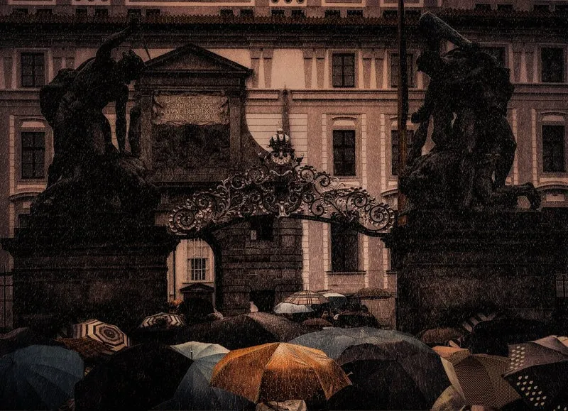 Umbrellas.