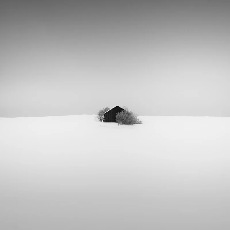 Sans titre