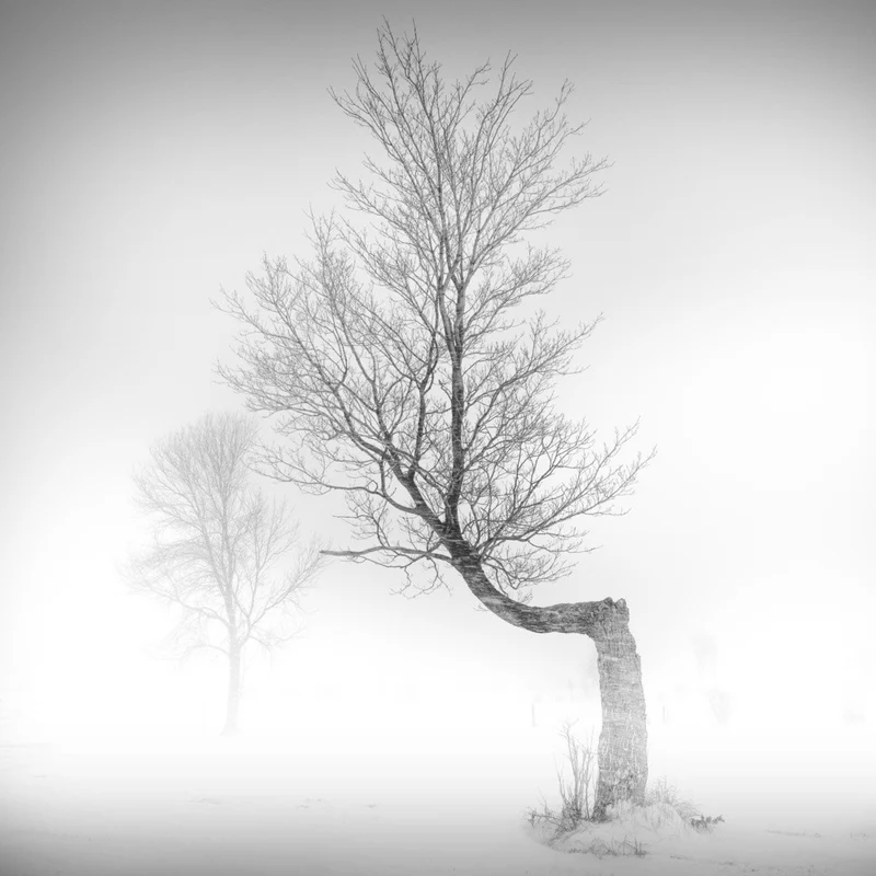 l'essentiel