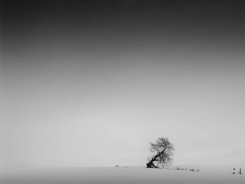 Regard minimaliste