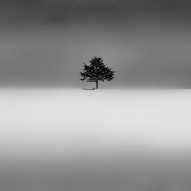 Sans titre