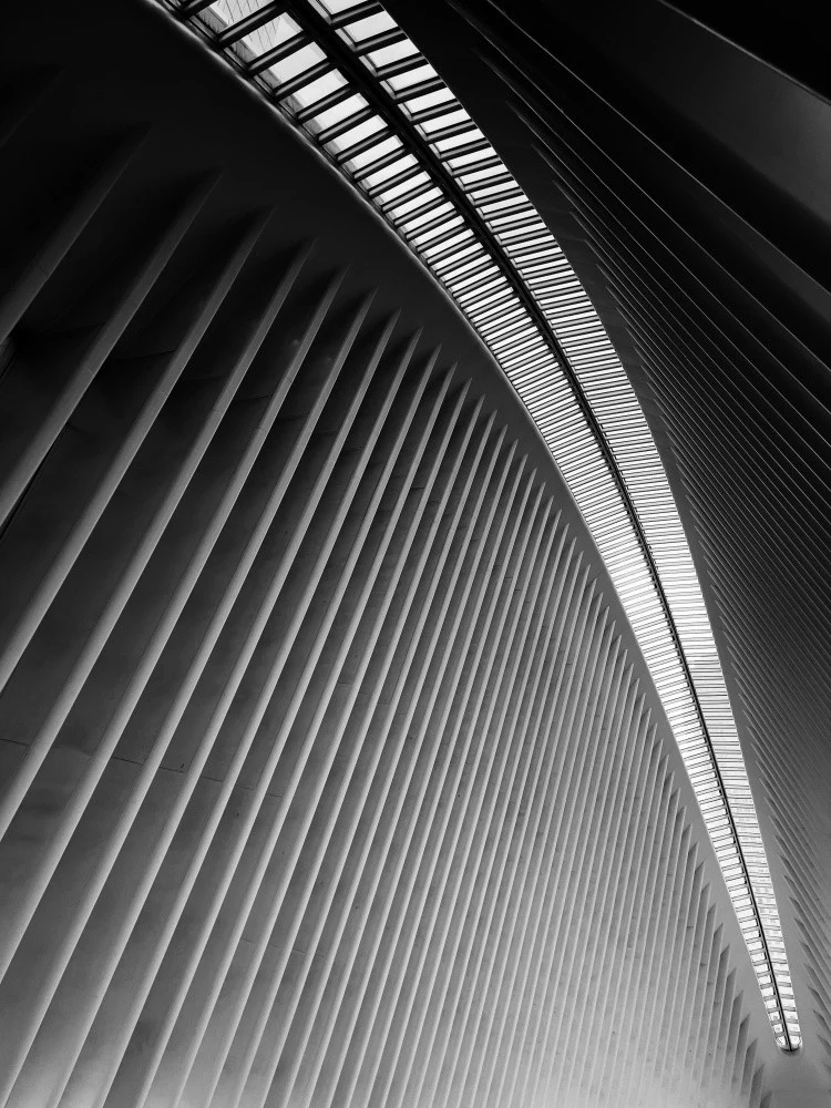 Line and Curve