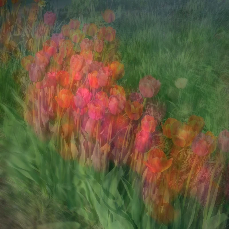 Spring Color