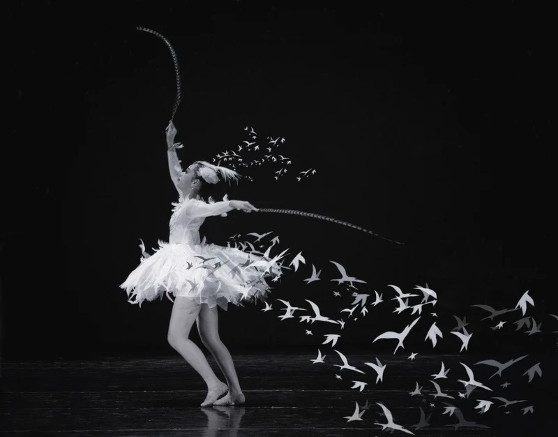 Fly Like a Bird