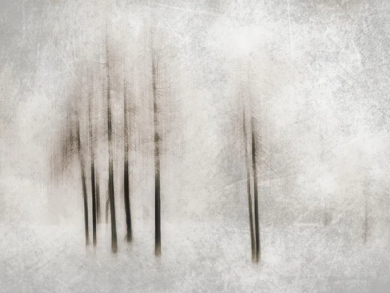 Winter ghosts