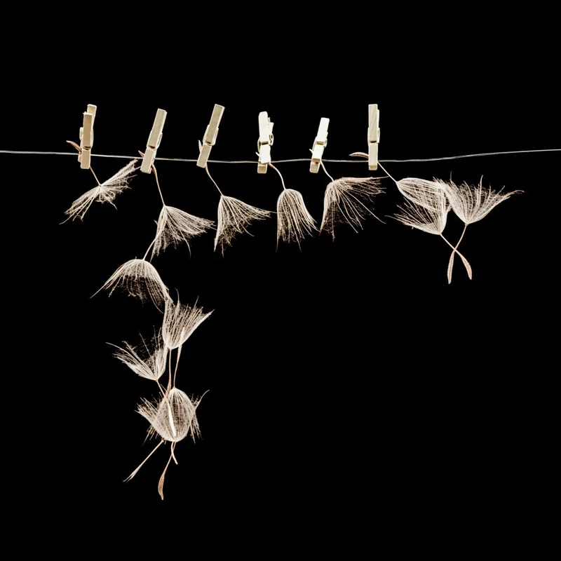 Summer is gone