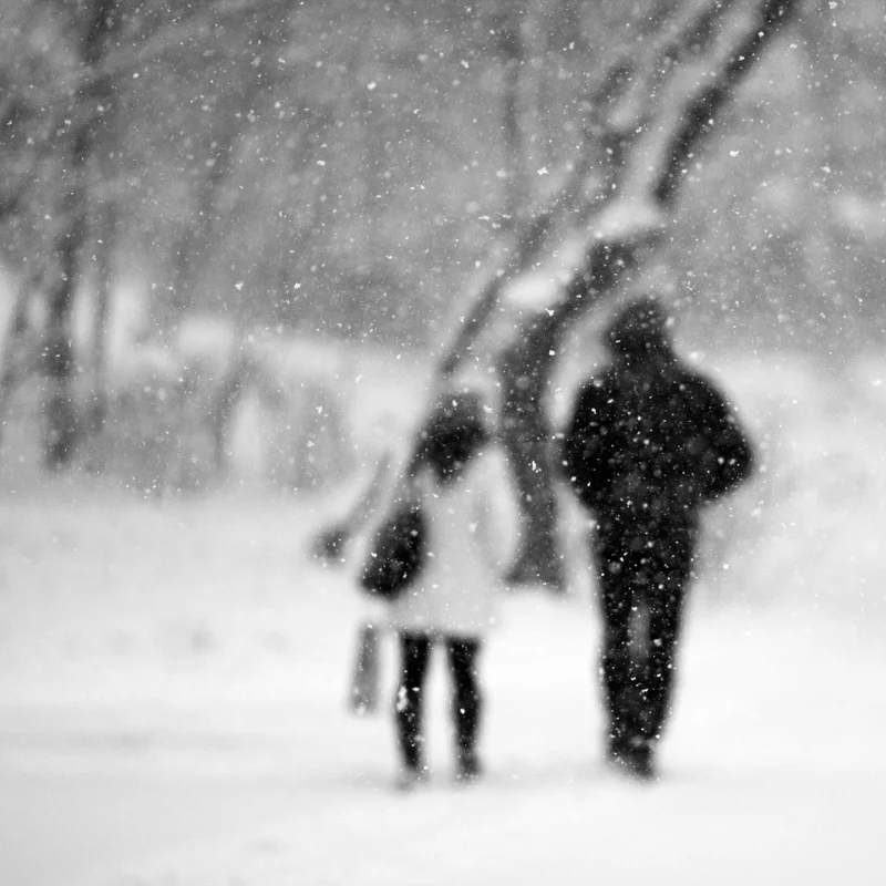 Let it snow....
