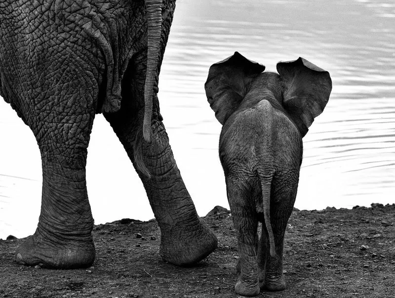 Together