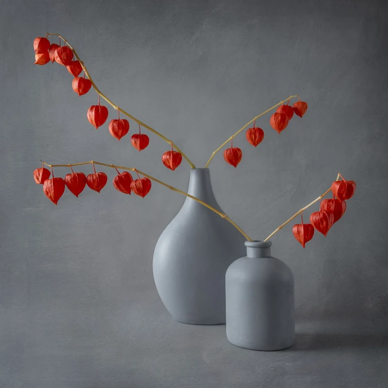 Still life with chinese lantern