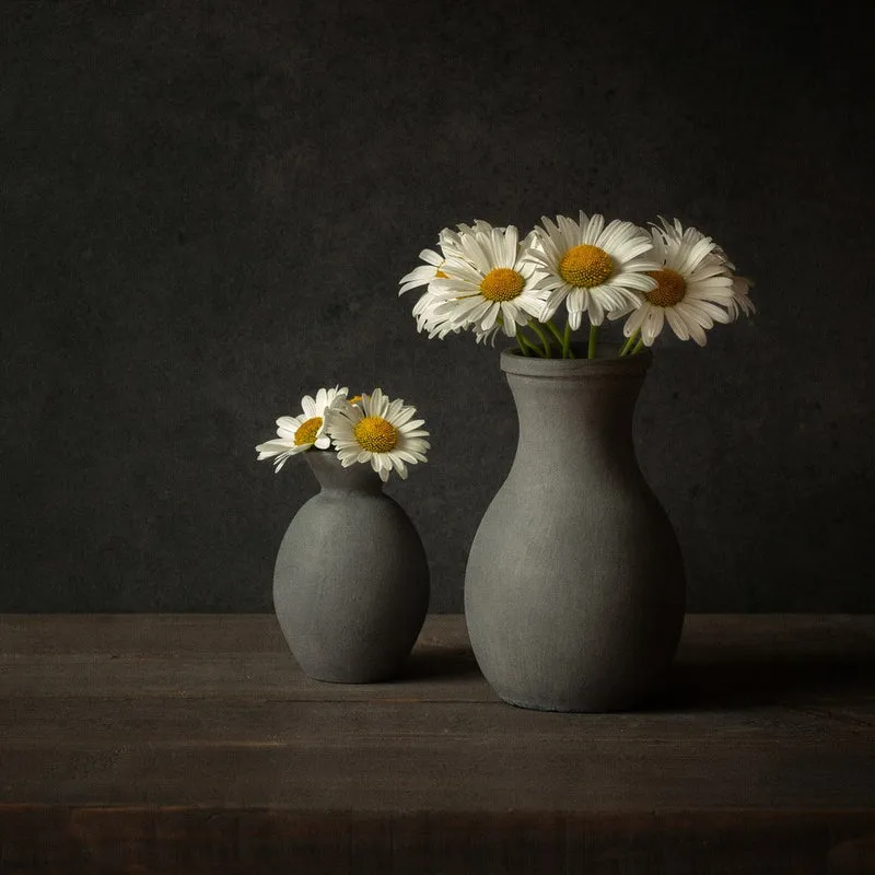 Daisies