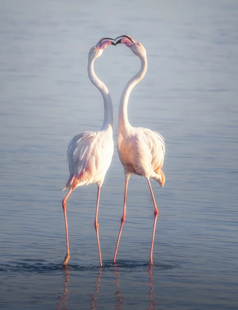 Love heart